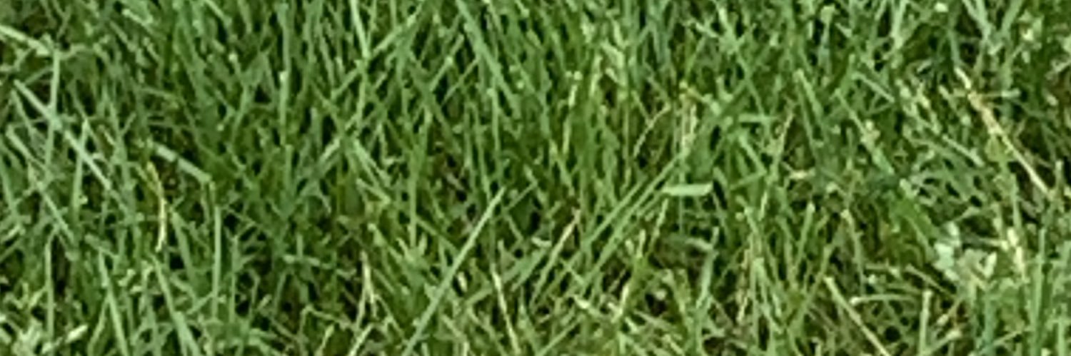 jucrowley's profile banner image