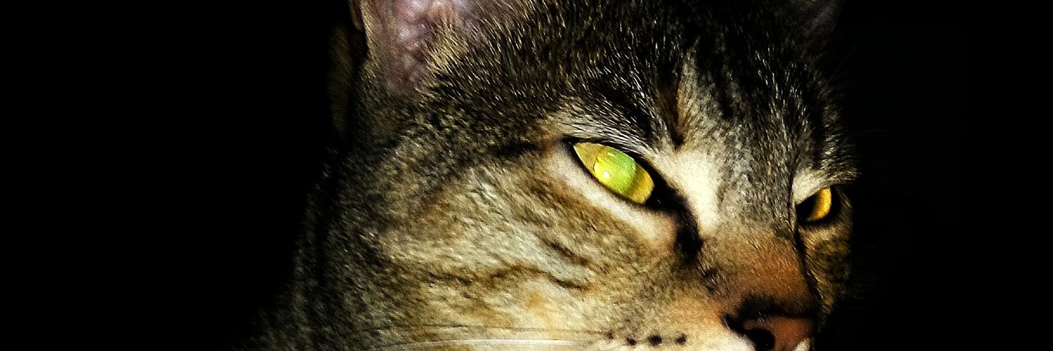 mikediligent's profile banner image