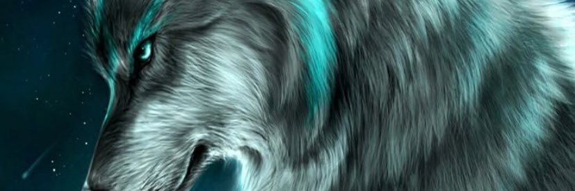 zeyna8282's profile banner image