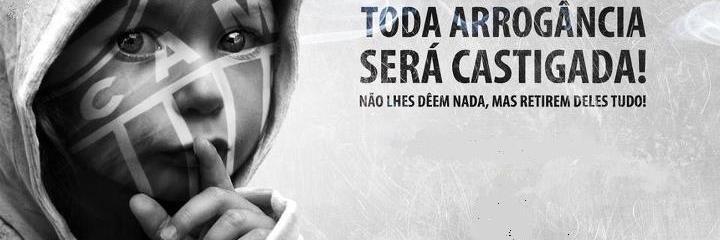 Galo é o meu amor banner