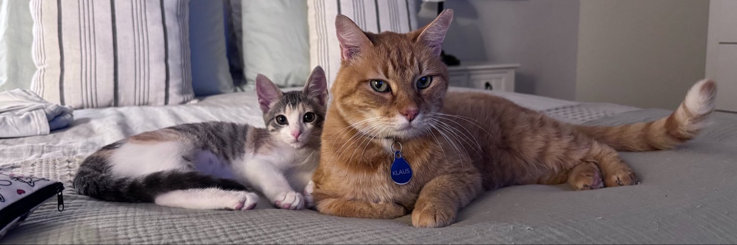 JenLovesCats79's profile banner image