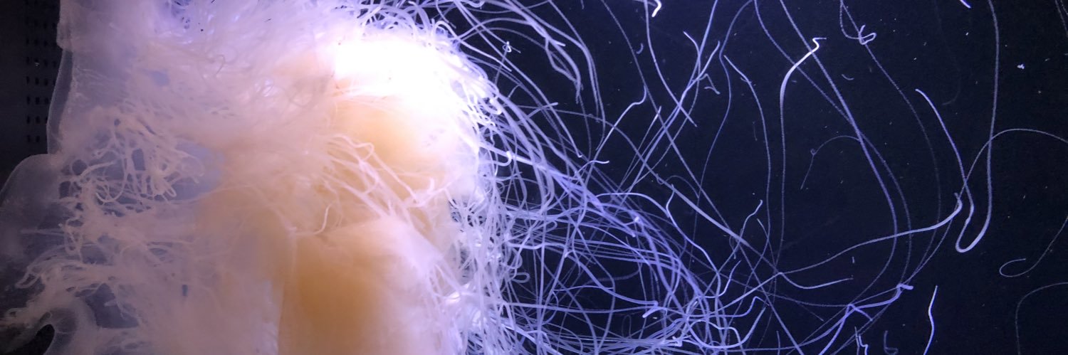 wortholt's profile banner image