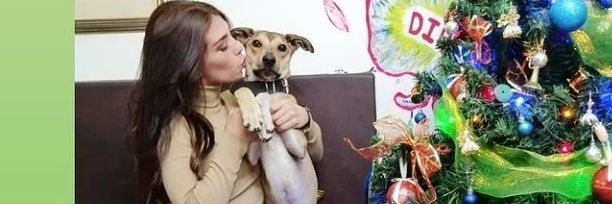 AnaMariaOrosco's profile banner image