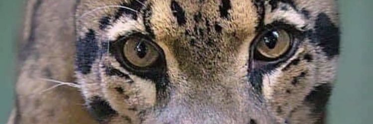 alge_in's profile banner image