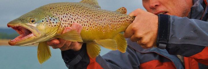 Stillwater Fly Shop banner