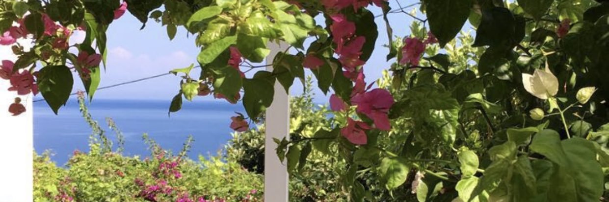 janadupreez's profile banner image