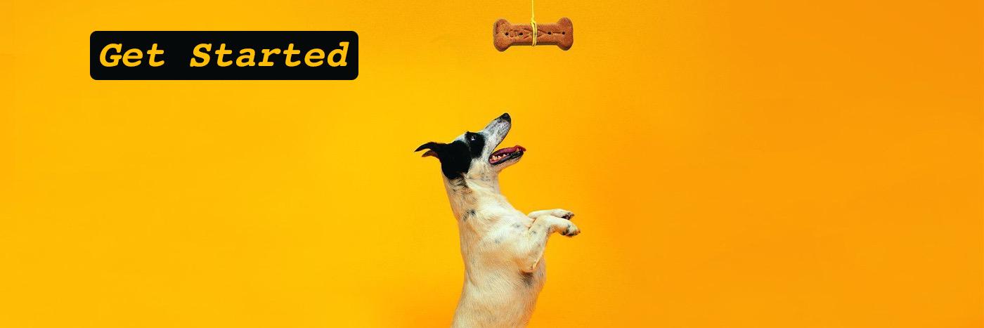 RepYourWoof's profile banner image