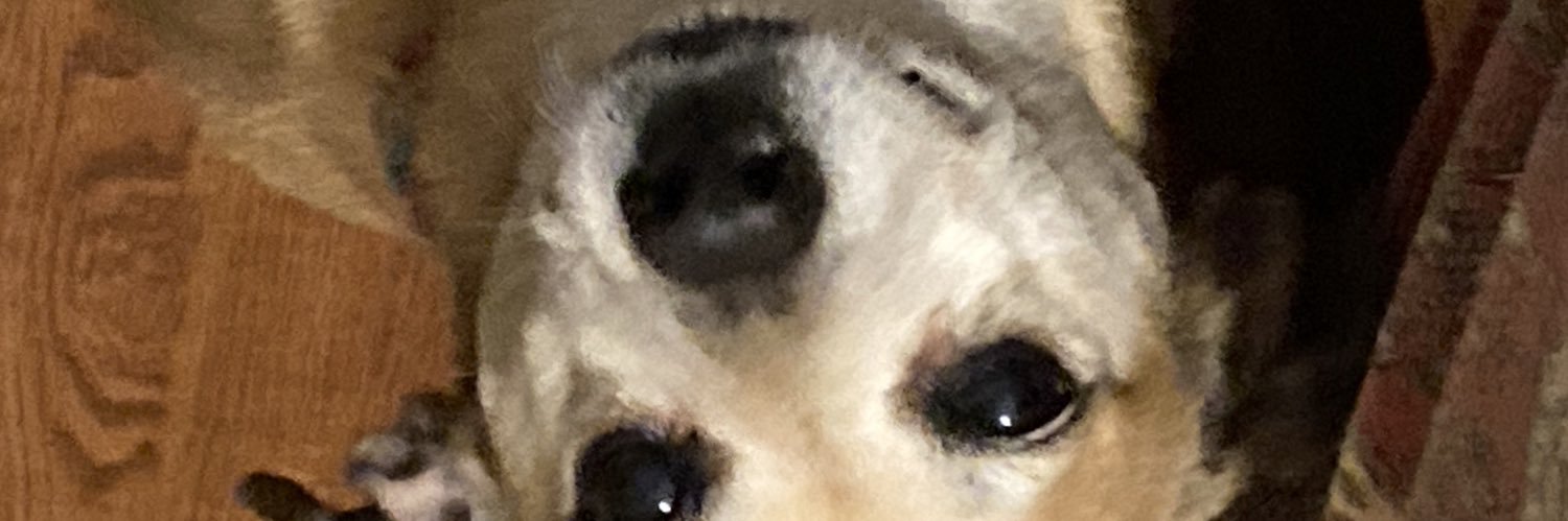 kiypop's profile banner image