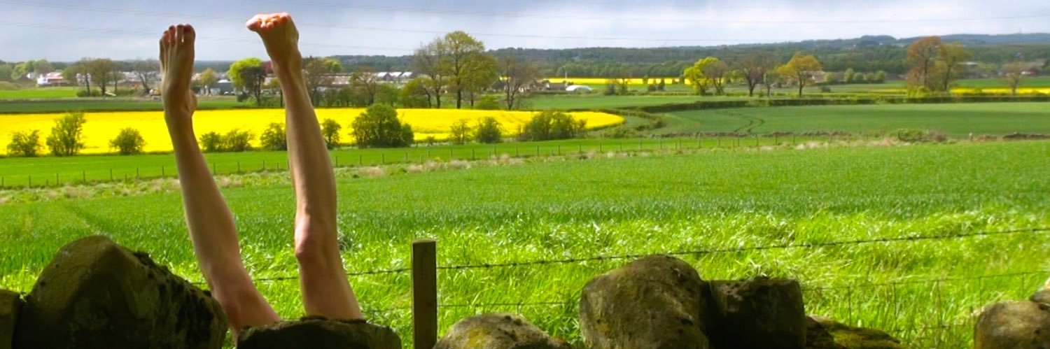 roblox porn for free banner