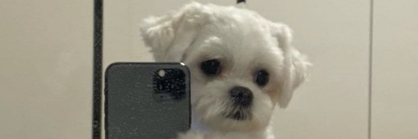 phatphatt_'s profile banner image