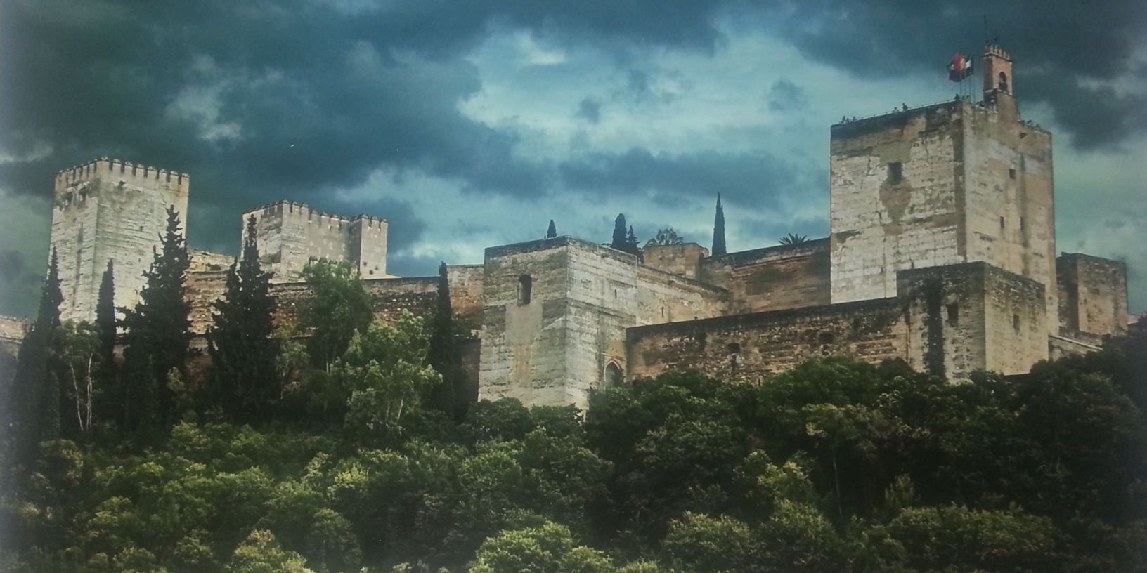 MoliRub's profile banner image