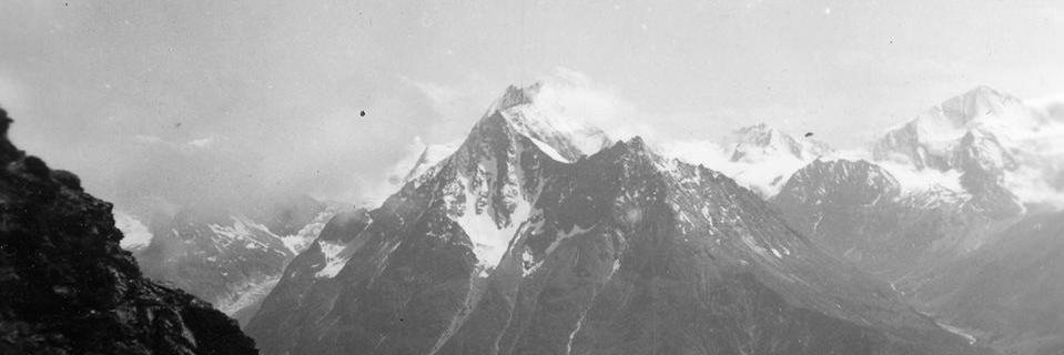 👻🦕💉💉💉 💉🎉🍃🥦 banner