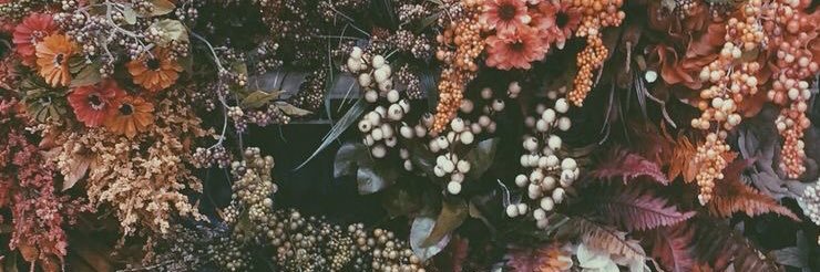 jaydee_owen's profile banner image