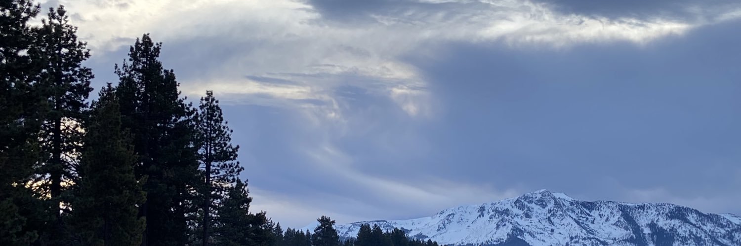 _lauranino's profile banner image