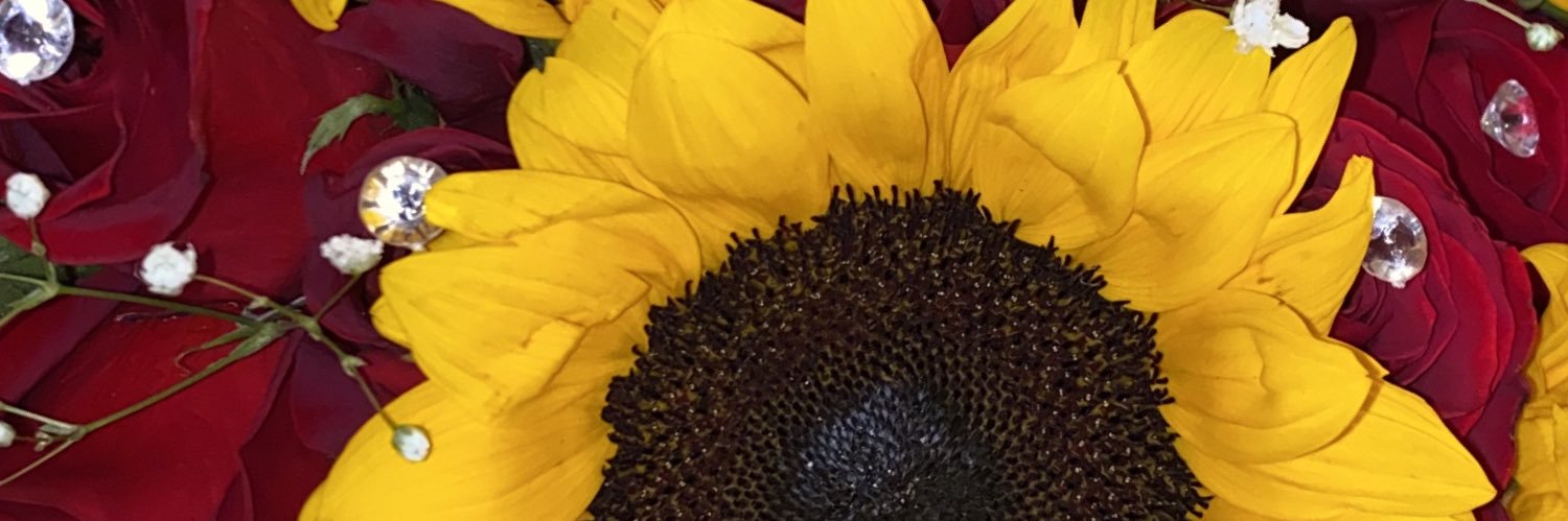 ramirezashley99's profile banner image