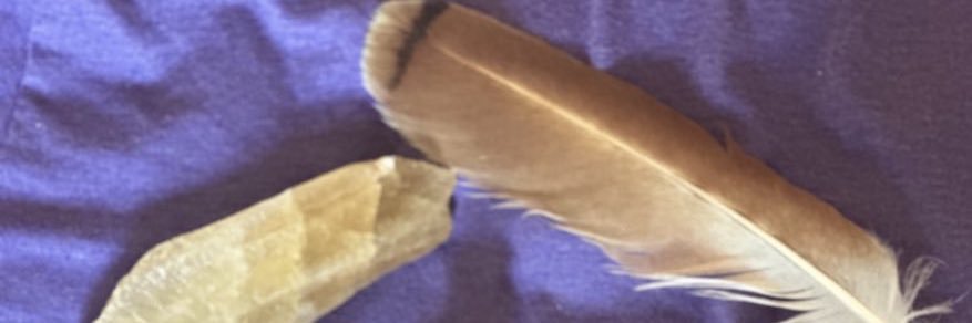 howlmeta's profile banner image