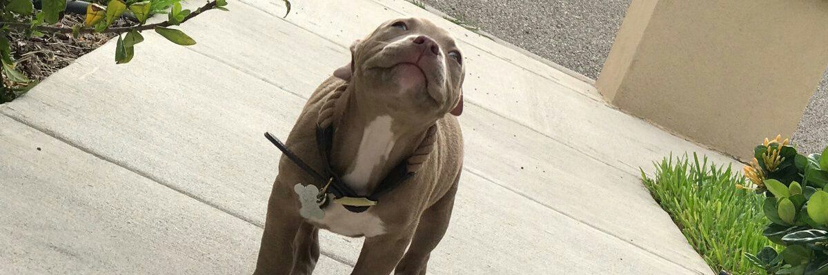 DeezSluts69's profile banner image