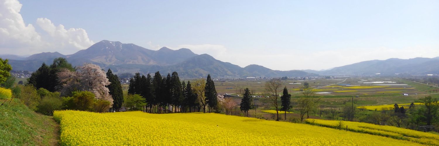 tsutchie_n's profile banner image