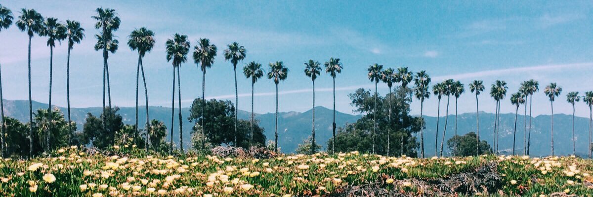 sanryfran's profile banner image