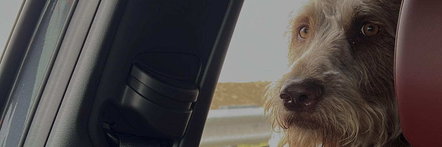 sarinarrr's profile banner image