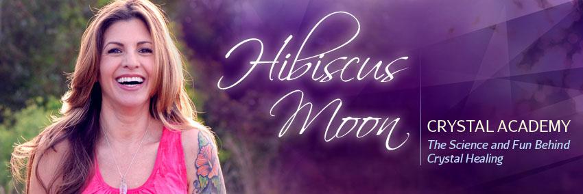 hibiscusmoon1's profile banner image