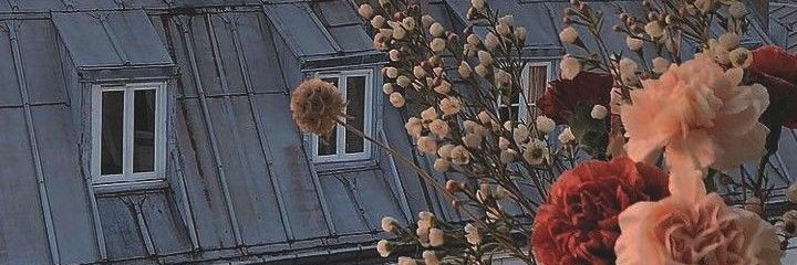 luisalozanof's profile banner image