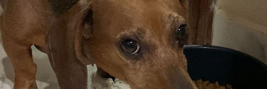 vitorrod_'s profile banner image