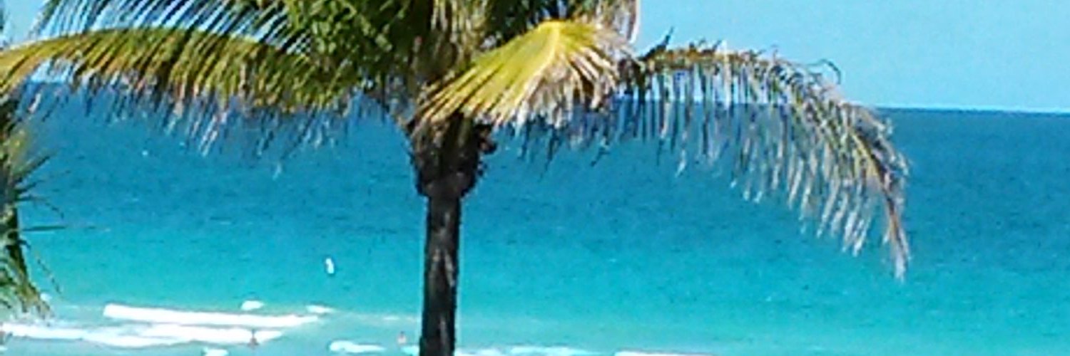 irmaserraok's profile banner image