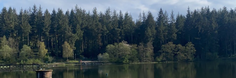 zoetaylor_1's profile banner image