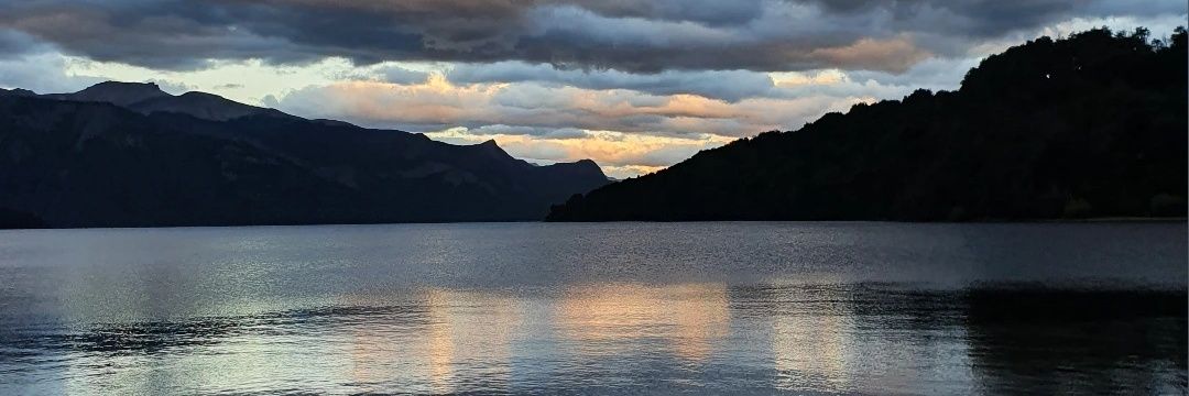 Nazarena Sanchez banner