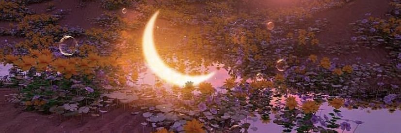 Liz23_Guzman's profile banner image