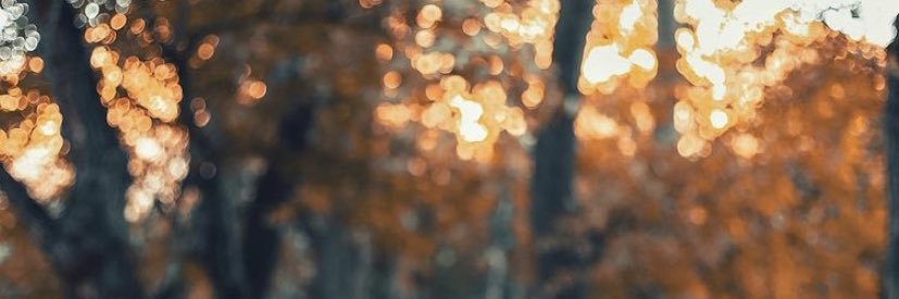 rupamjn's profile banner image