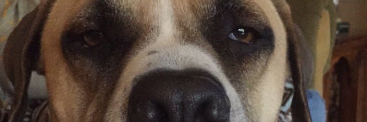 ddaniforsythh's profile banner image