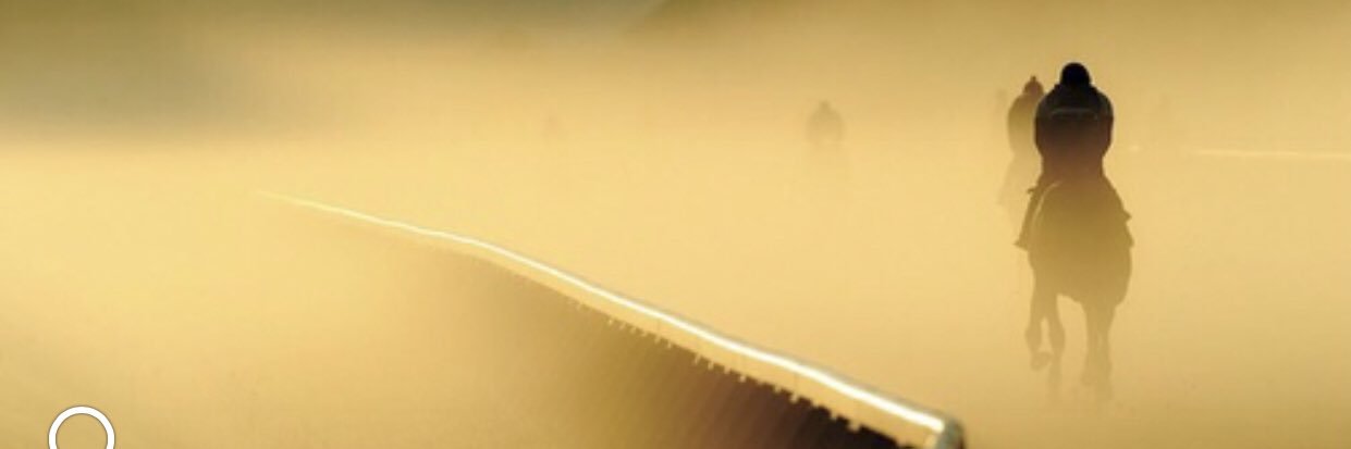 AliABasher's profile banner image