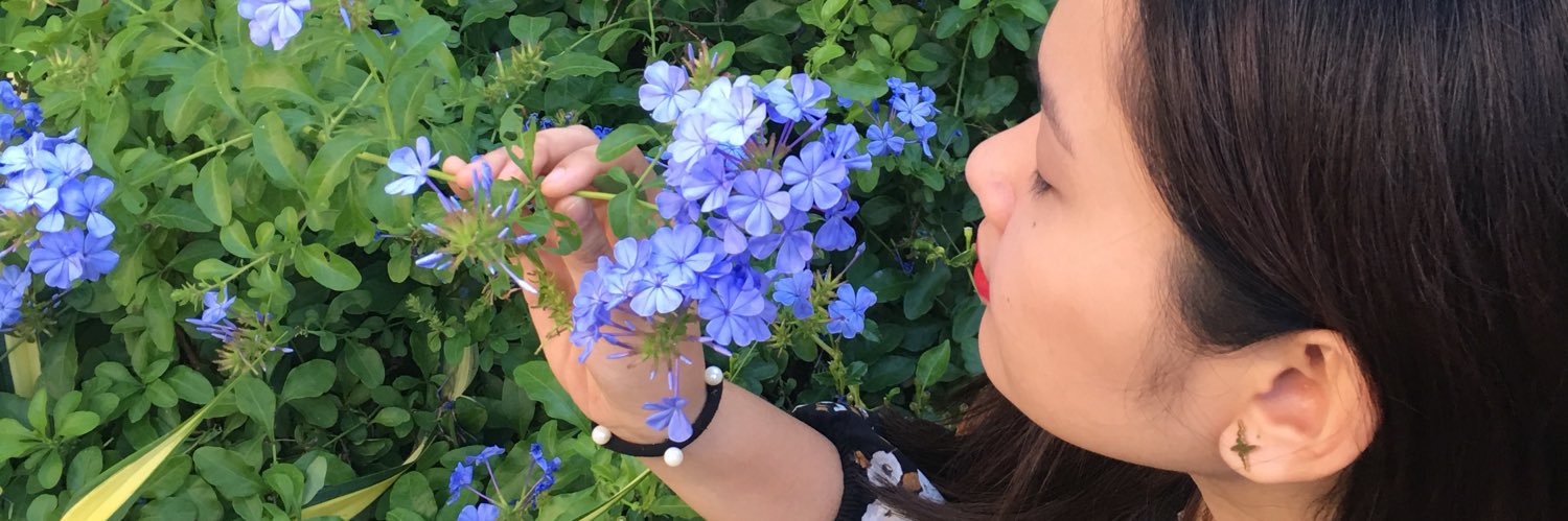 khyleijenner's profile banner image