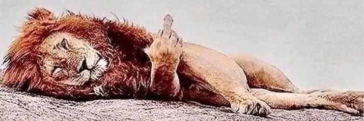 deadhorsecore's profile banner image