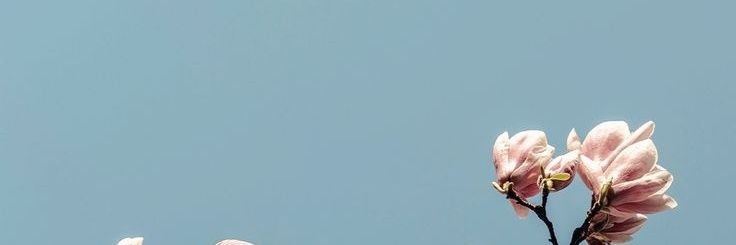 sepertijemari's profile banner image