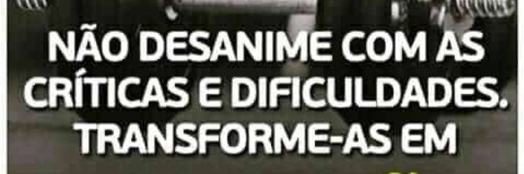 DamiaoNeto1's profile banner image