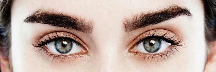 oxebelbs's profile banner image