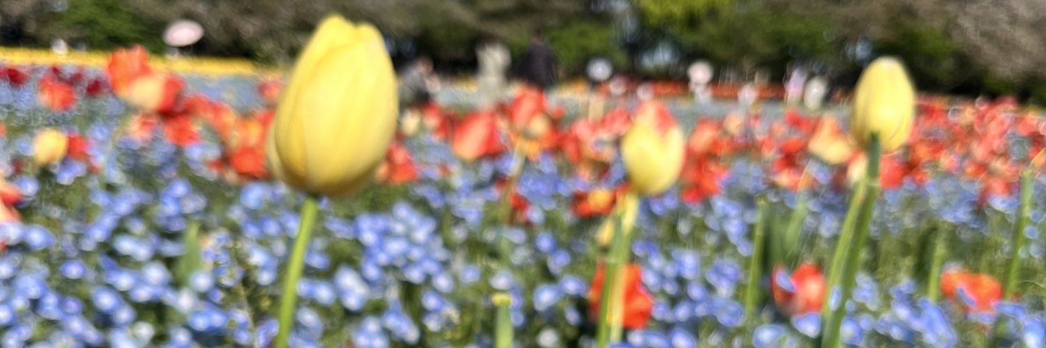 nmk_74's profile banner image