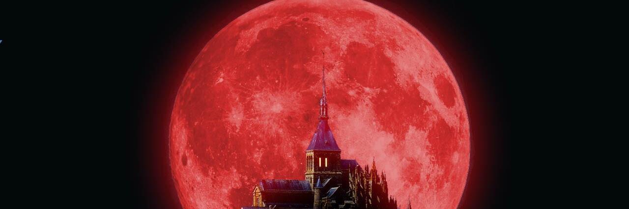 Moon_Alchemist's profile banner image