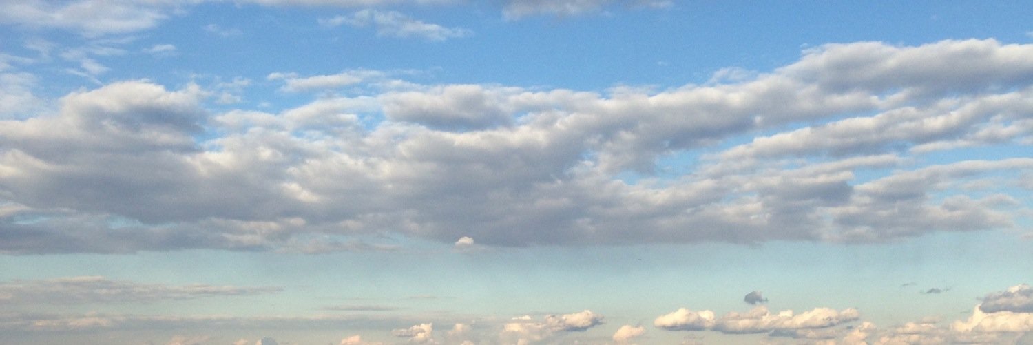 LuluMF8's profile banner image