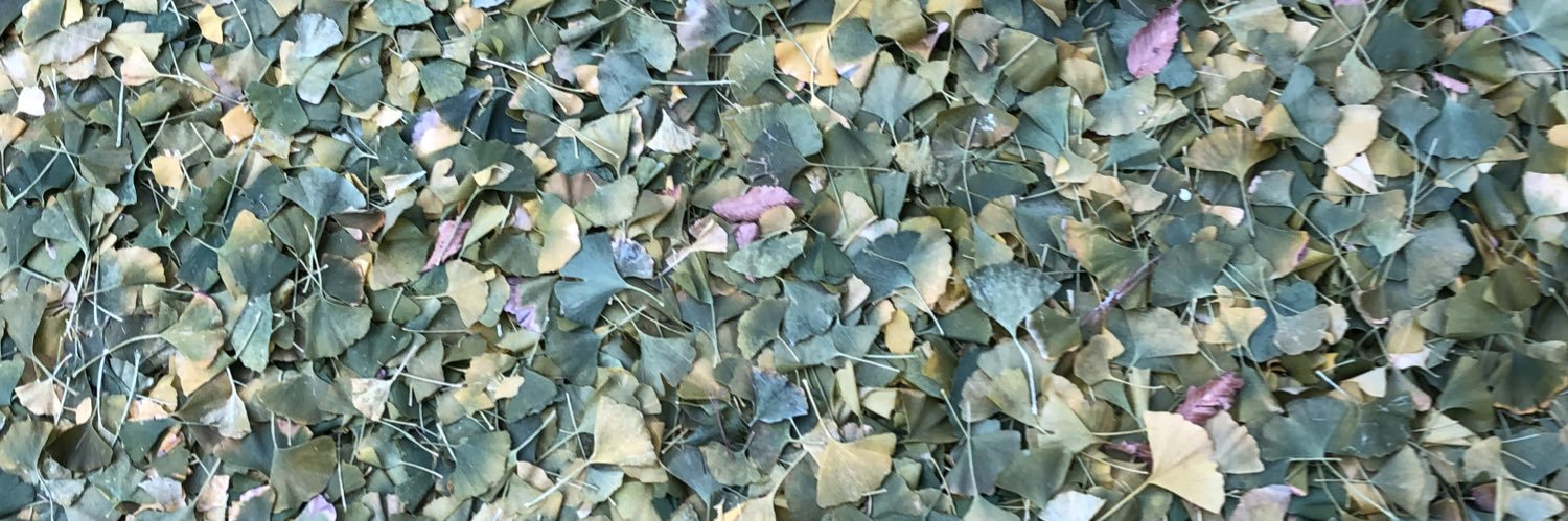 TwoBitSmith's profile banner image
