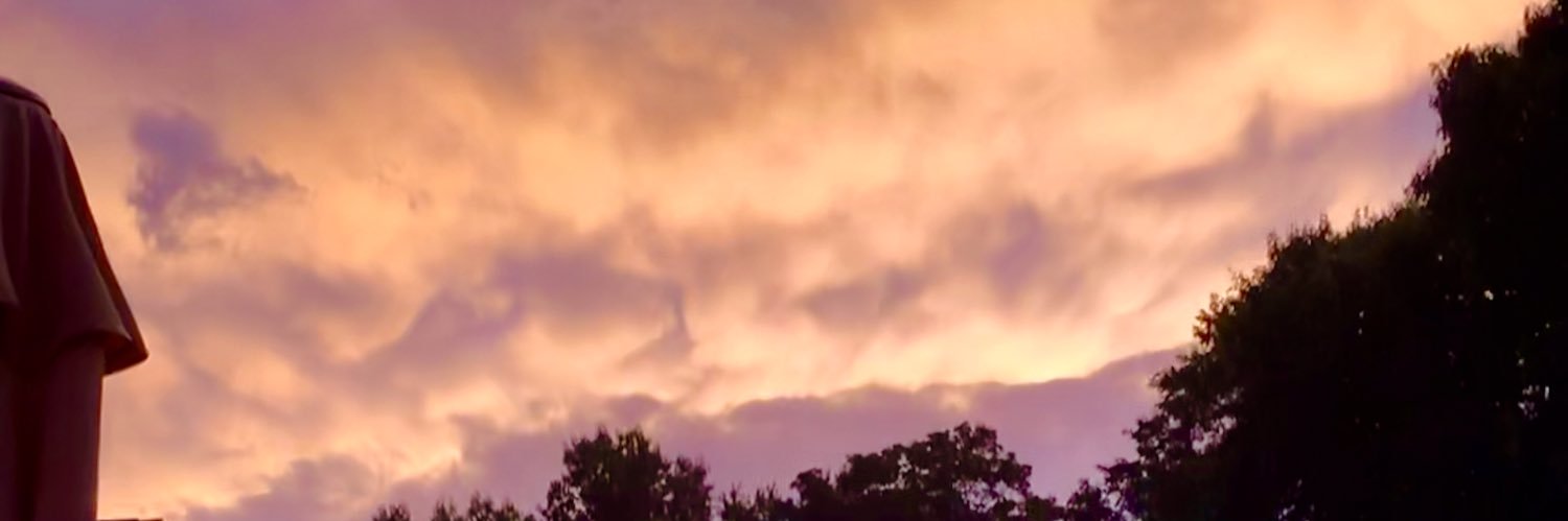Rachel_Marie07's profile banner image