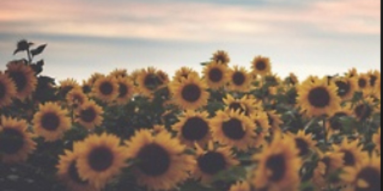 Itsinot's profile banner image