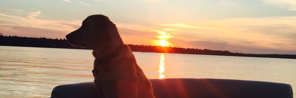 SamSpaeth4's profile banner image