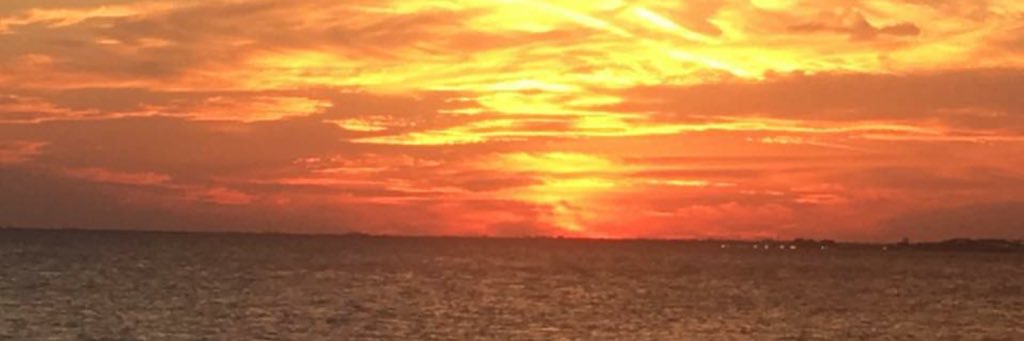 ossemprit1's profile banner image