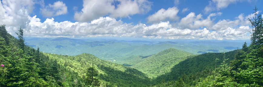 bluefieldgis's profile banner image