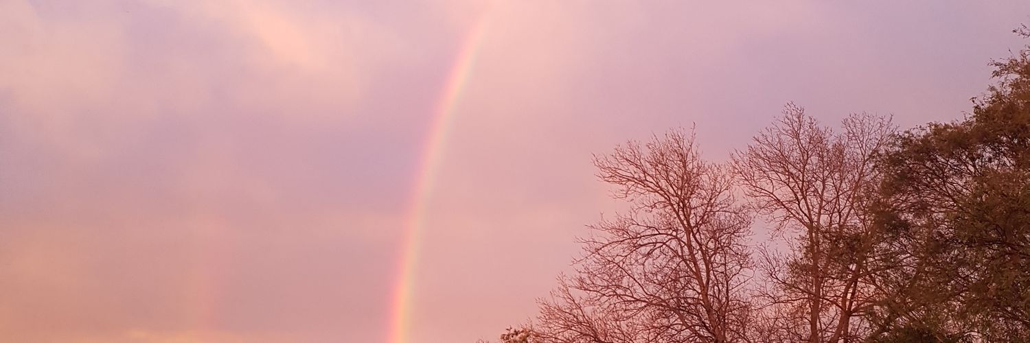 JenKloester's profile banner image