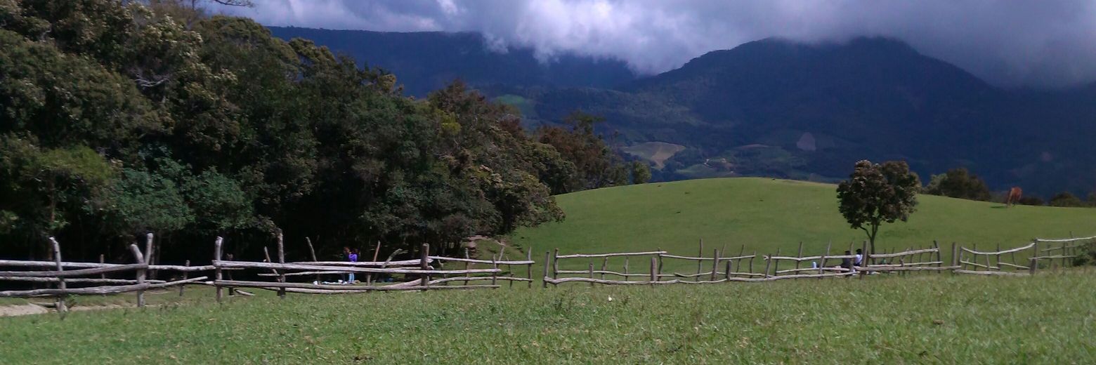 luirmar's profile banner image